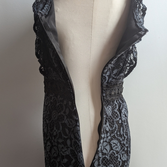 EUC...Beautiful Zara Guipure Lace Dress (with whimsy/goth vibes)  Size Small - Picture 11 of 13